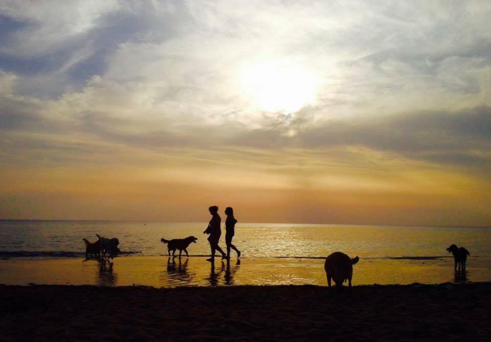 Dolce Vita Campiglia Marittima Exteriör bild