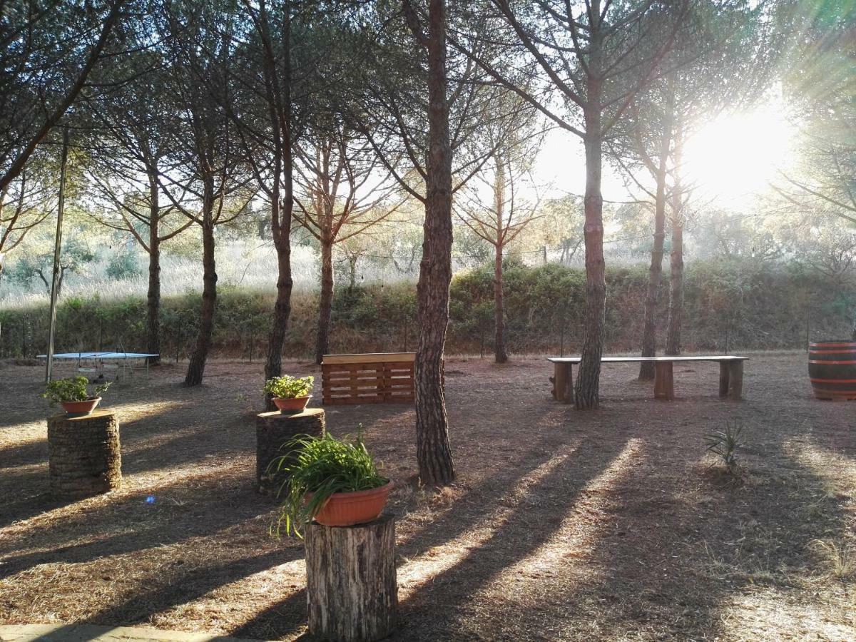 Dolce Vita Campiglia Marittima Exteriör bild